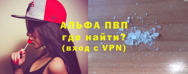 гашик Богданович