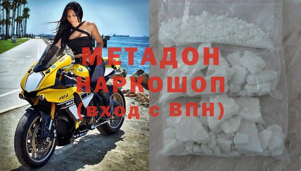 гашик Богданович