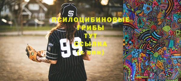 a pvp Богородицк