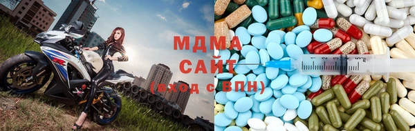 гашик Богданович